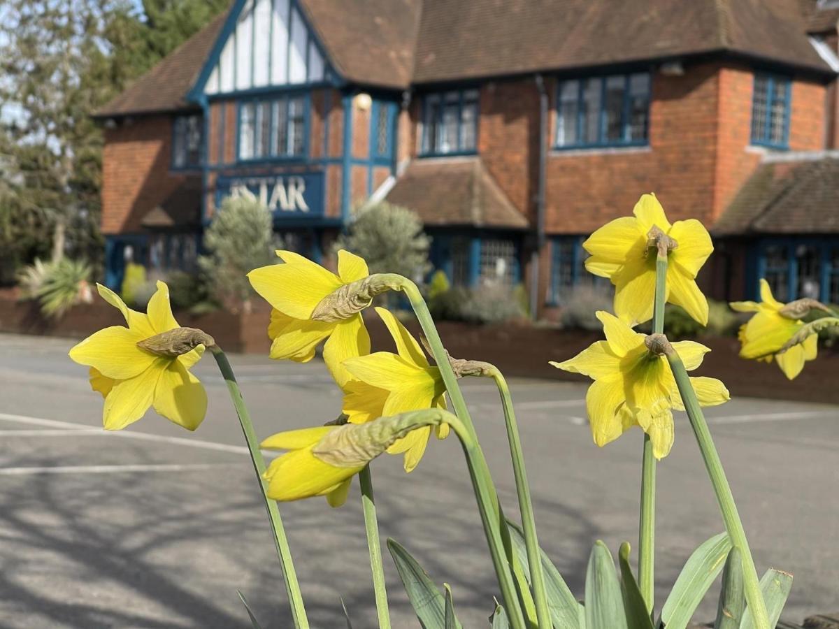 The Star Inn Lingfield Esterno foto
