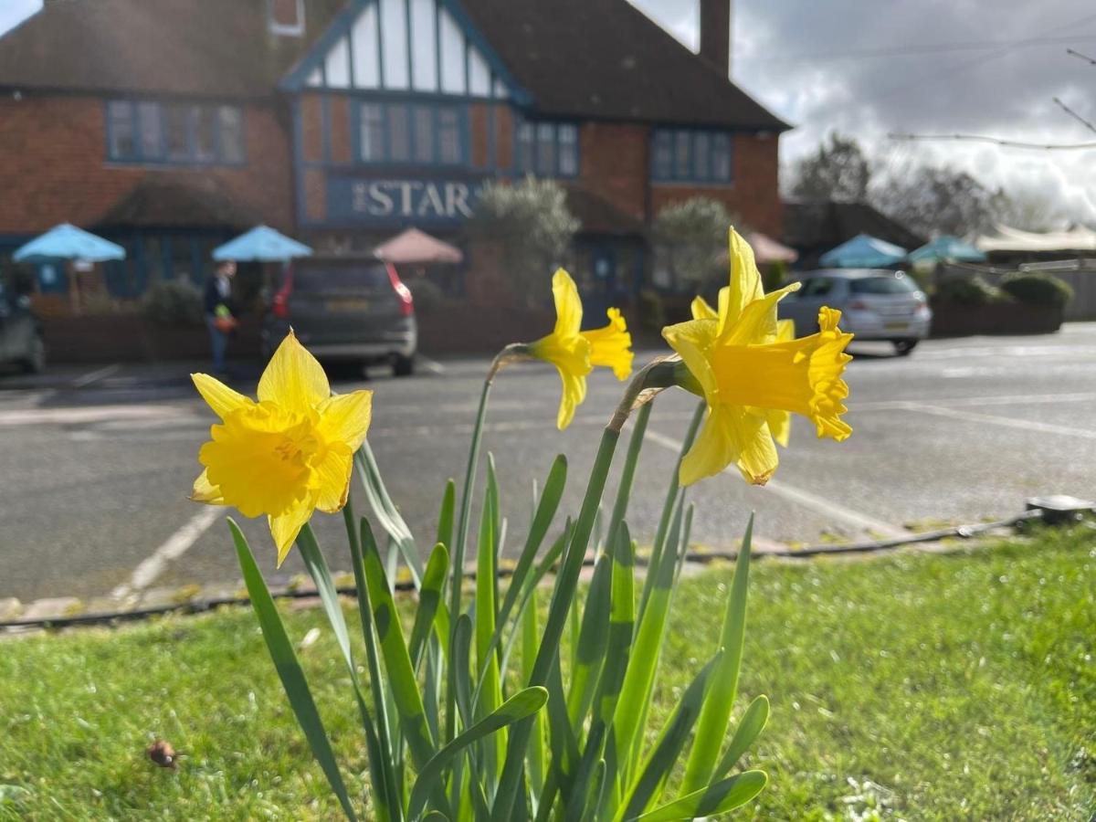The Star Inn Lingfield Esterno foto