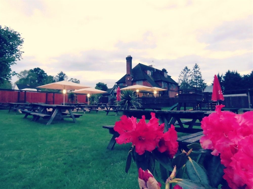 The Star Inn Lingfield Esterno foto